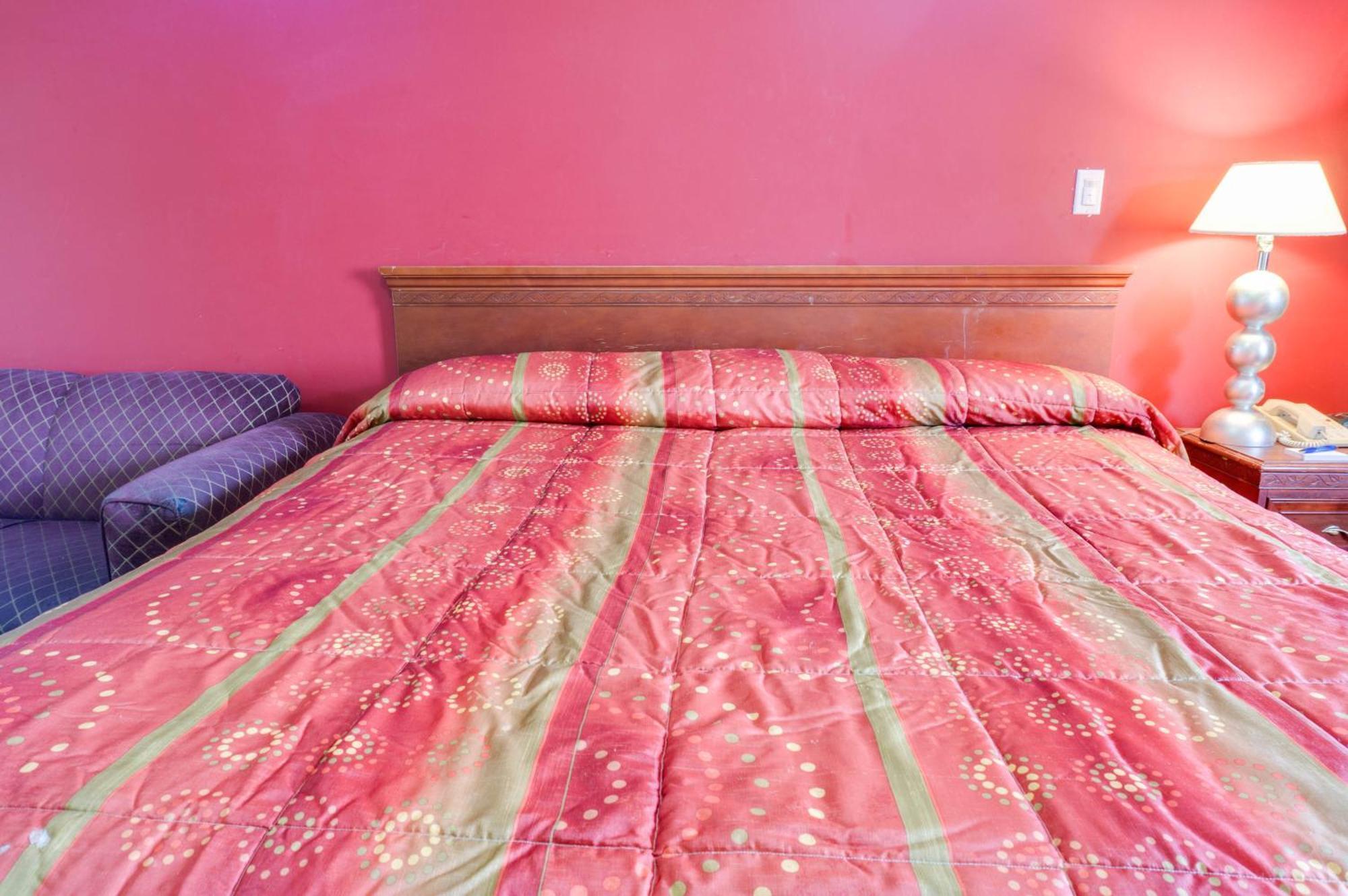 Sky Palm Motel - Orange Rom bilde